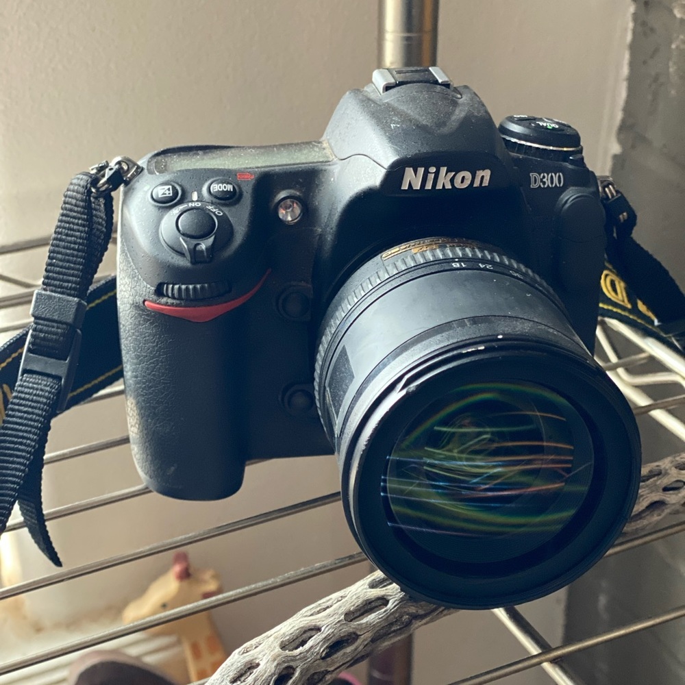 Nikon D300 w/ af-s nikkor 18-135mm 1.35-5.6g ED lens